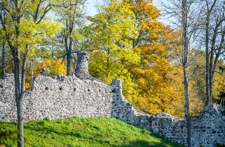 Helme Order Castle Ruins